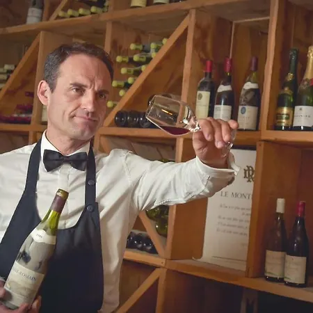 De Luxe 3 Etoiles Au Coeur De * Dijon