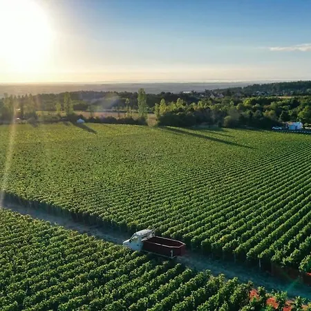 De Luxe 3 Etoiles Au Coeur De Dijon