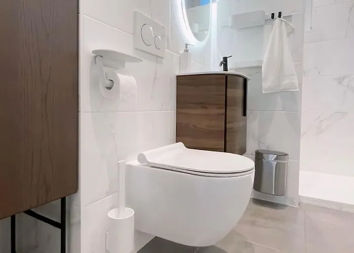 De Luxe 3 Etoiles Au Coeur De Dijon