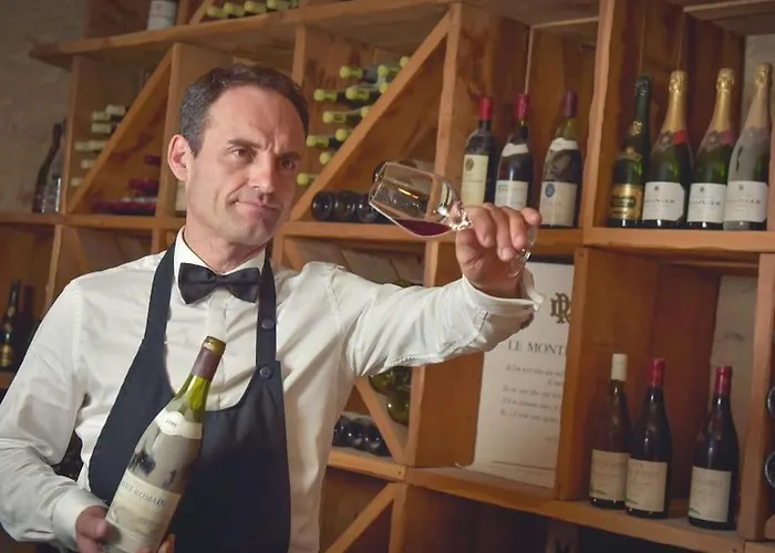 De Luxe 3 Etoiles Au Coeur De * Dijon