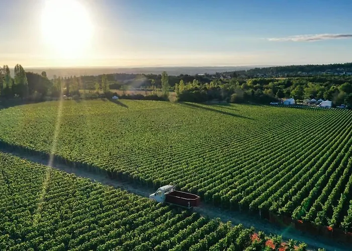 De Luxe 3 Etoiles Au Coeur De Dijon