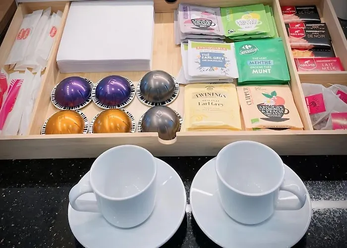 Apartment De Luxe 3 Etoiles Au Coeur De Dijon